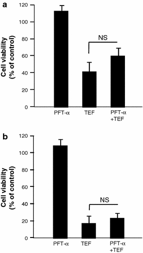 Fig. 8