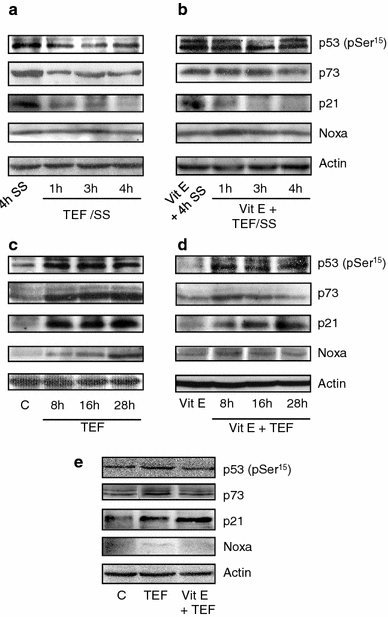 Fig. 6