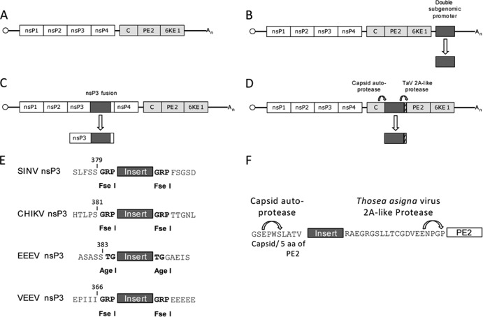 FIG 1