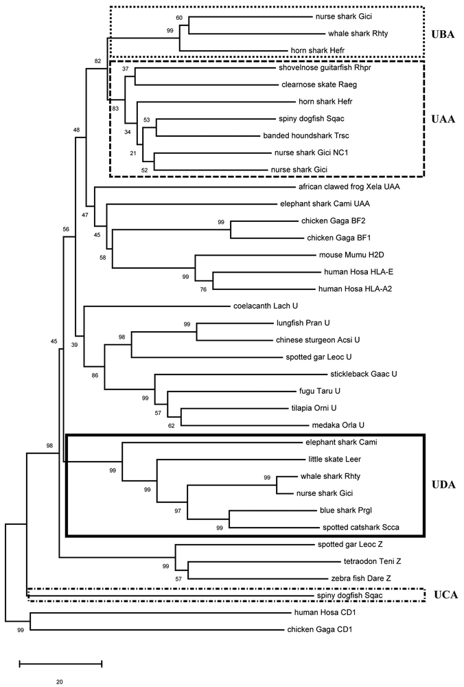 Figure 2.