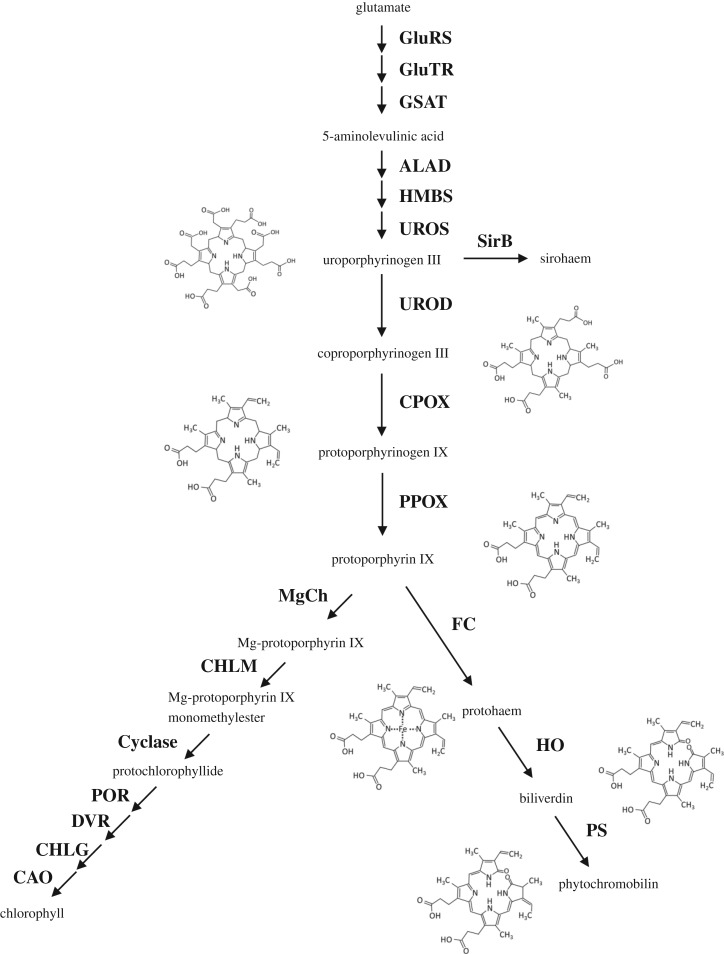 Figure 1.