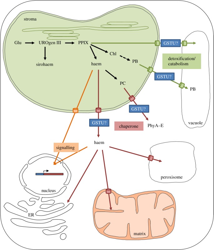 Figure 5.