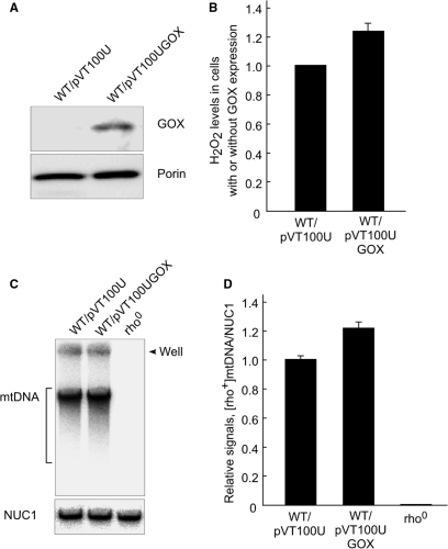 Figure 6.