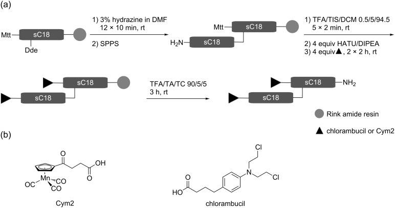 Scheme 1