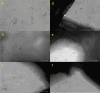 Fig. 9