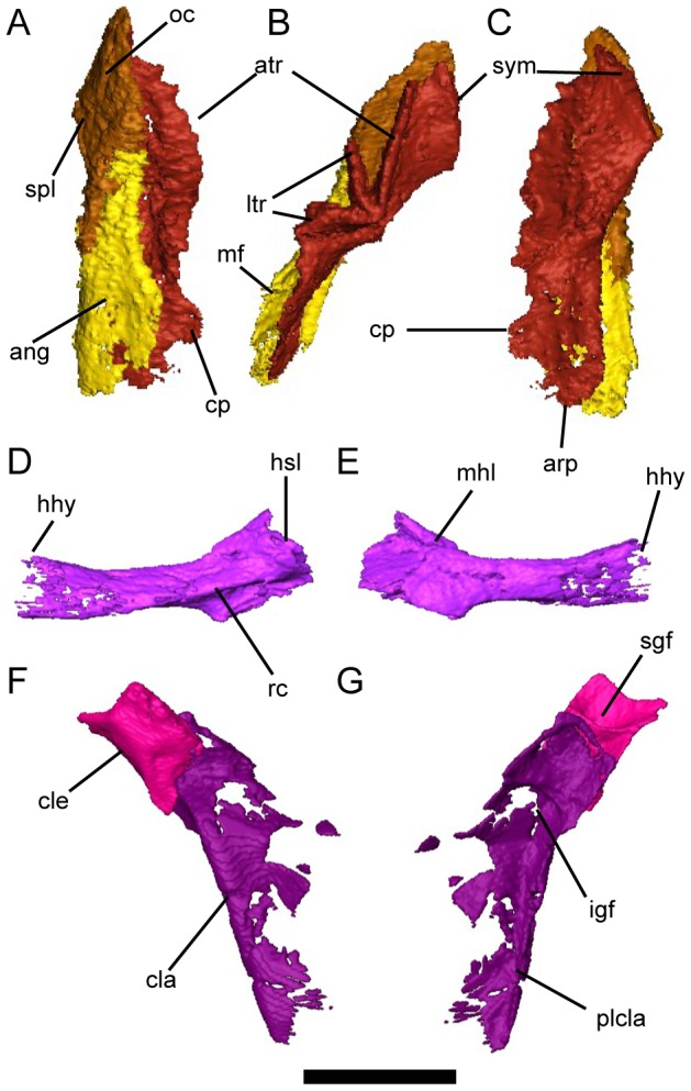 Figure 5