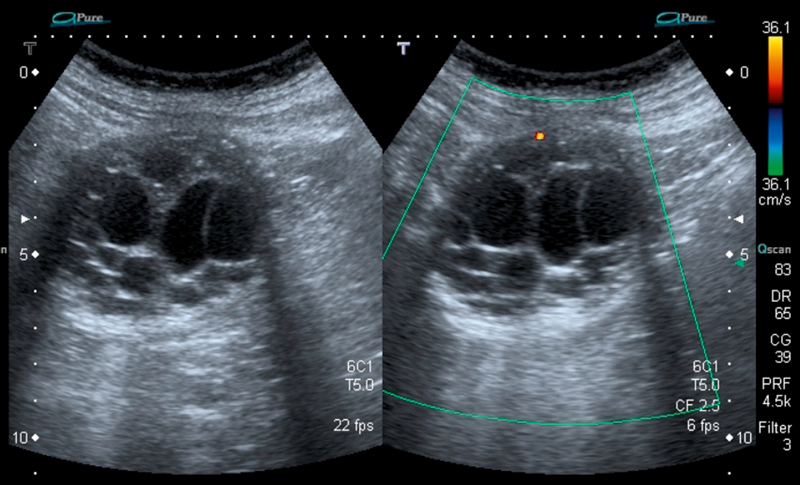 Fig. 4