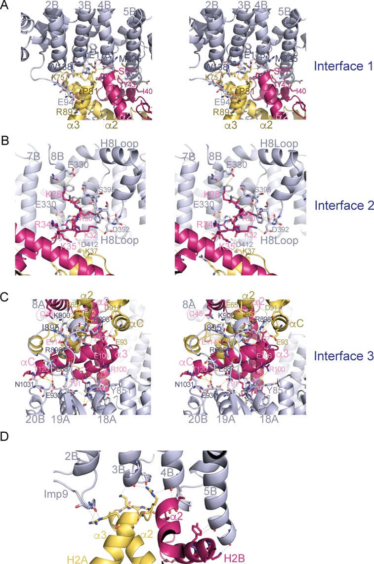 Figure 2—figure supplement 1.