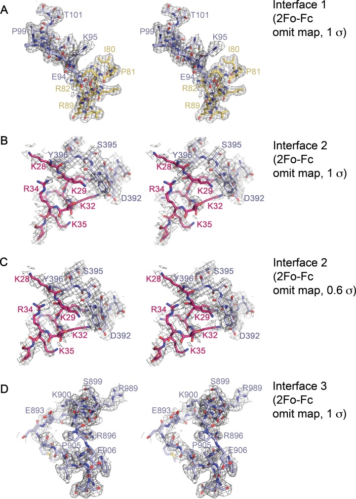 Figure 2—figure supplement 2.