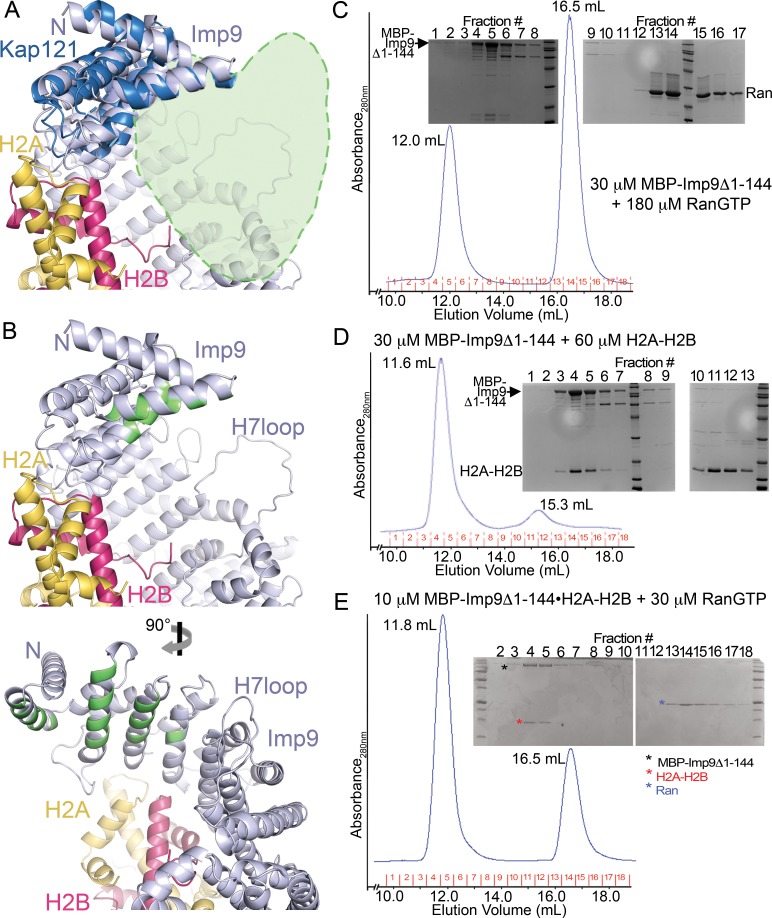 Figure 4—figure supplement 6.