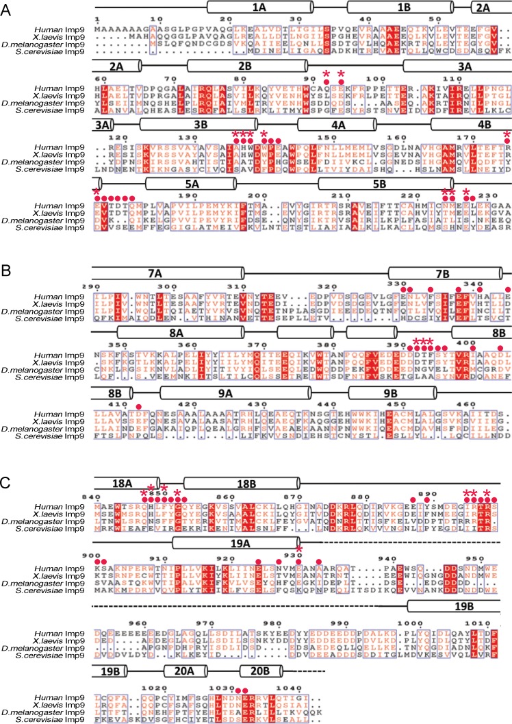 Figure 2—figure supplement 3.