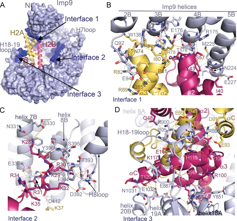 Figure 2.