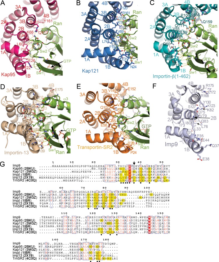 Figure 4—figure supplement 5.