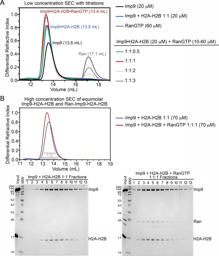 Figure 4—figure supplement 2.