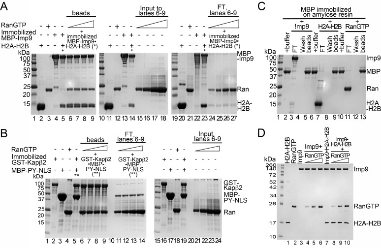 Figure 4—figure supplement 1.