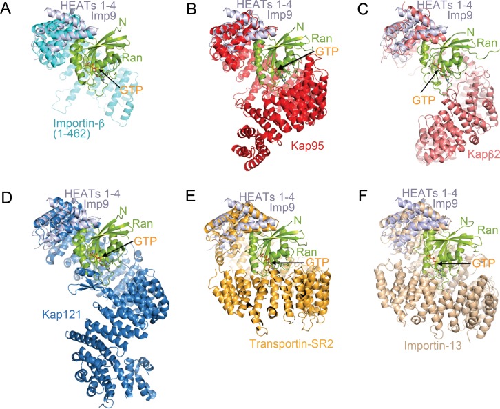 Figure 4—figure supplement 4.