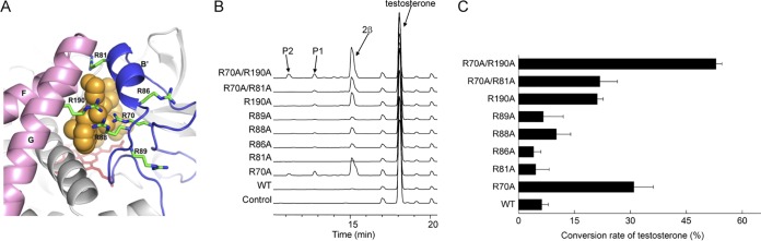 FIG 3