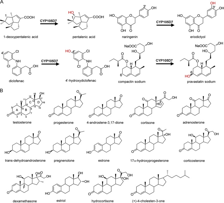 FIG 1