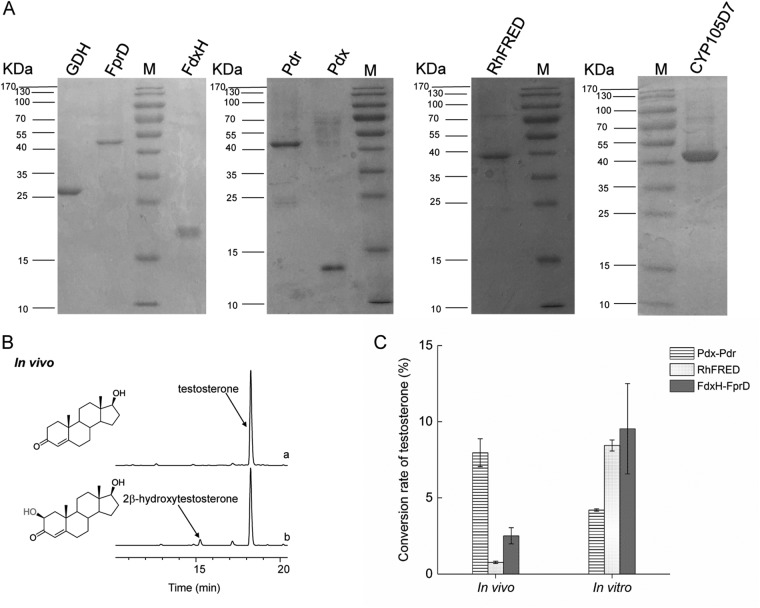 FIG 2