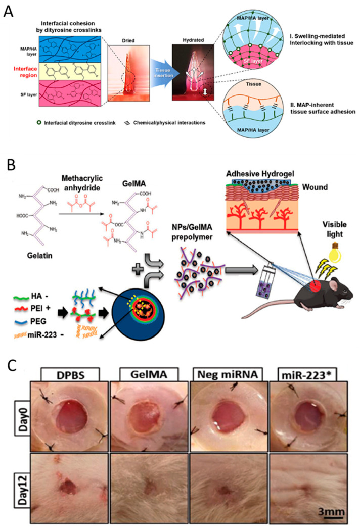 Figure 6