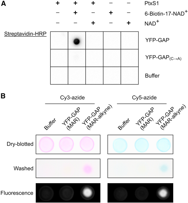 Figure 3