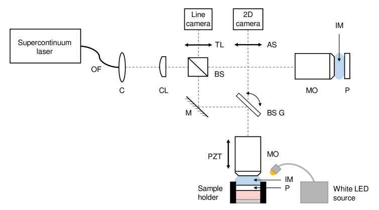 Fig. 1.