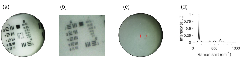 Fig. 4.