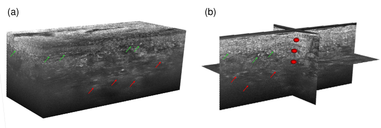 Fig. 6.