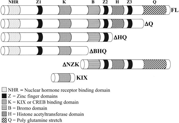 Figure 2.—