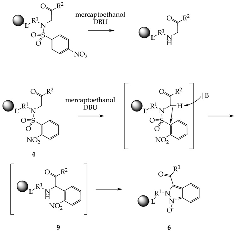 Scheme 5