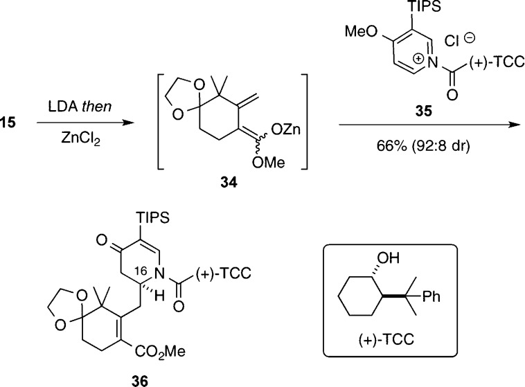 Scheme 5