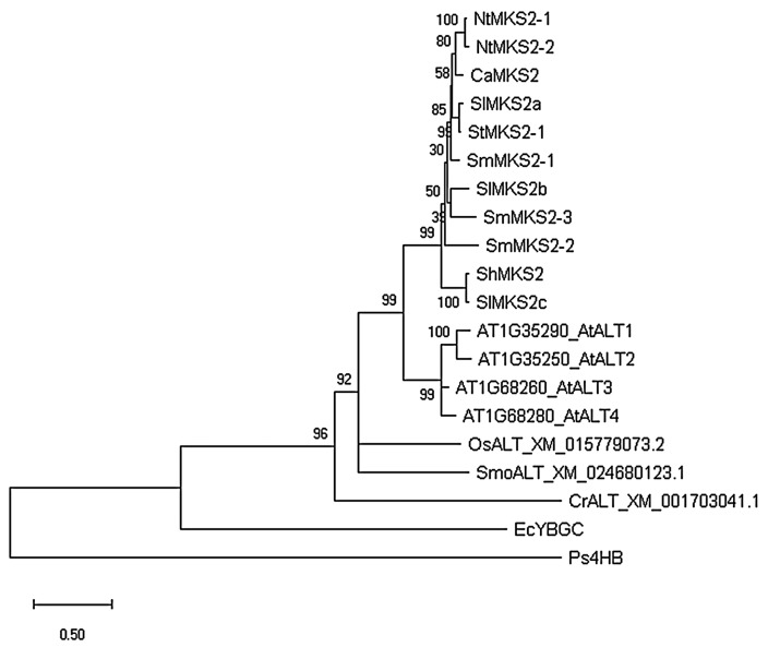 Figure 2