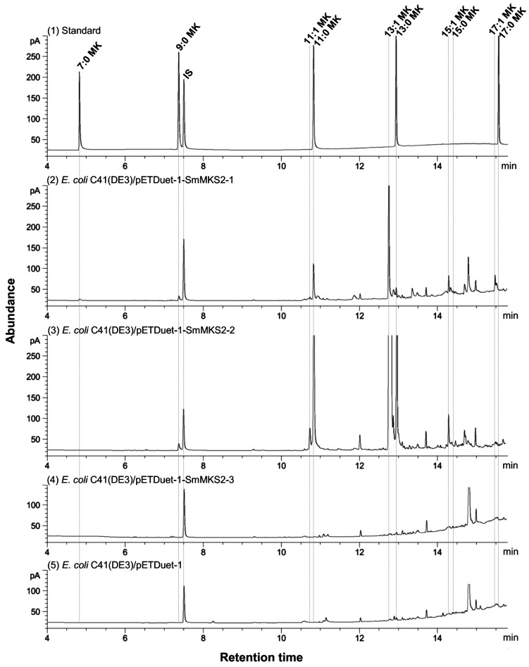 Figure 5