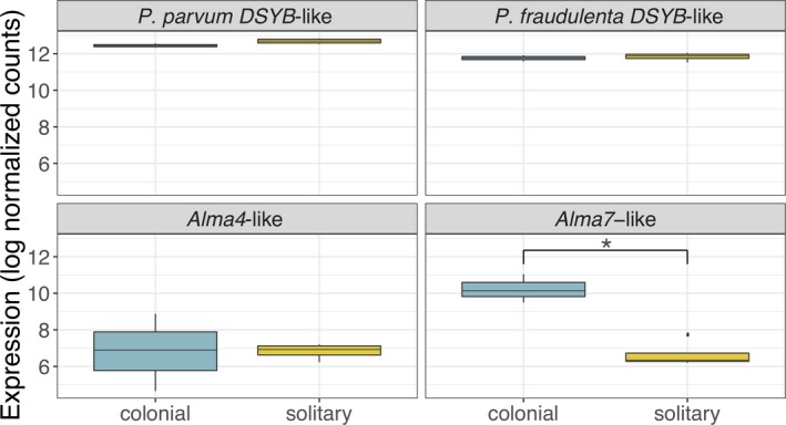 Figure 5