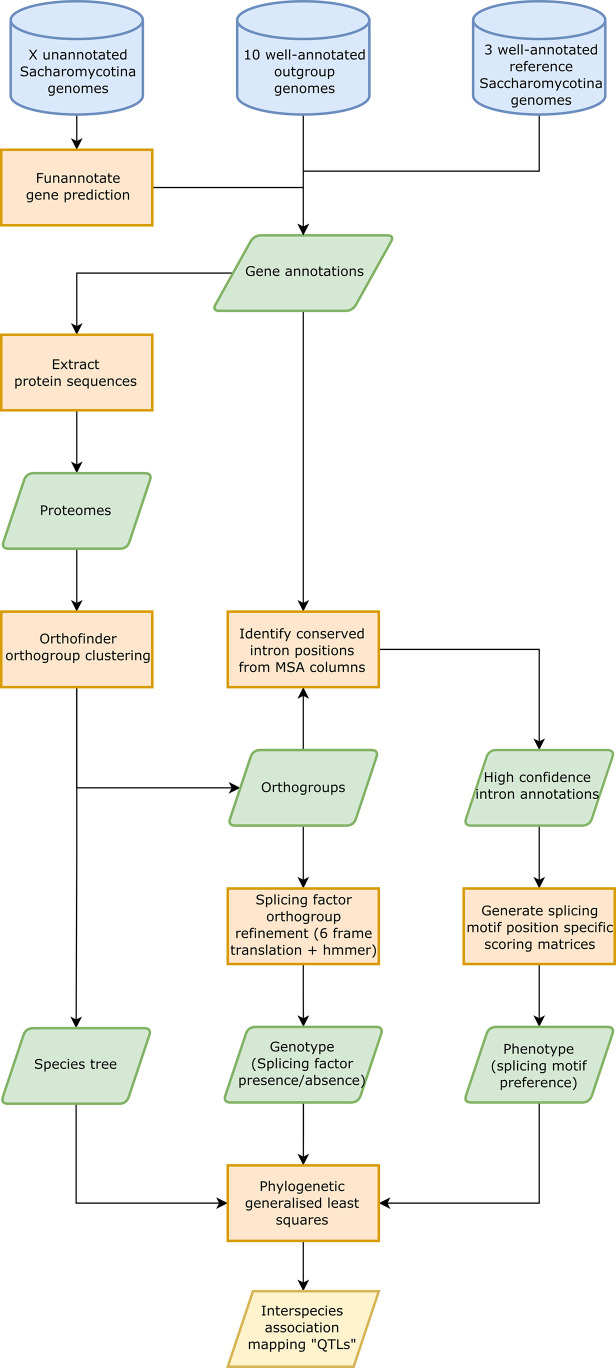 Figure 2—figure supplement 1.