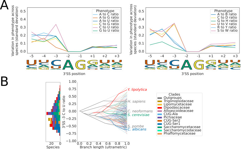 Figure 2—figure supplement 4.