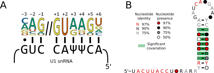 Figure 3—figure supplement 1.