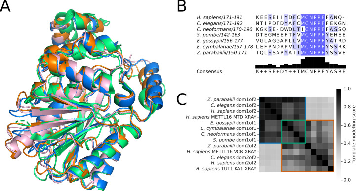 Figure 4—figure supplement 1.