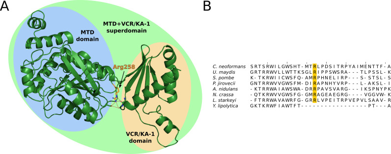 Figure 1—figure supplement 1.