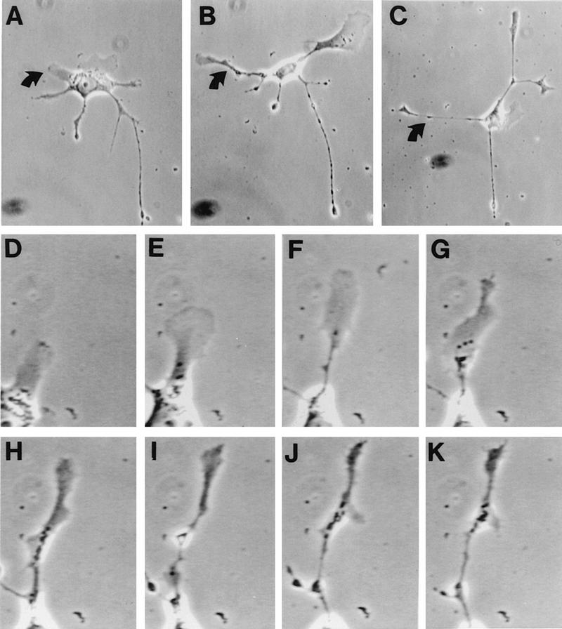 FIG. 7