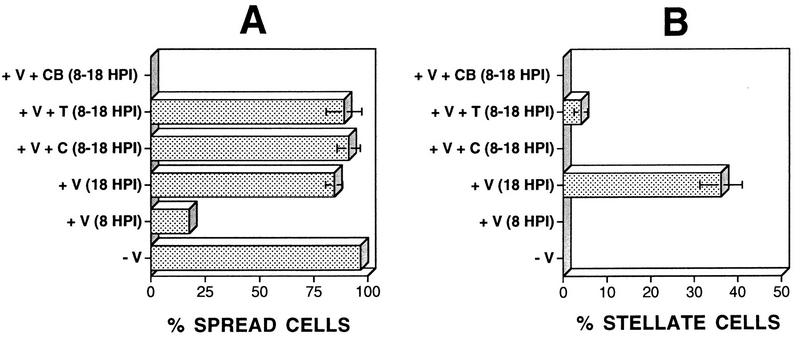 FIG. 9