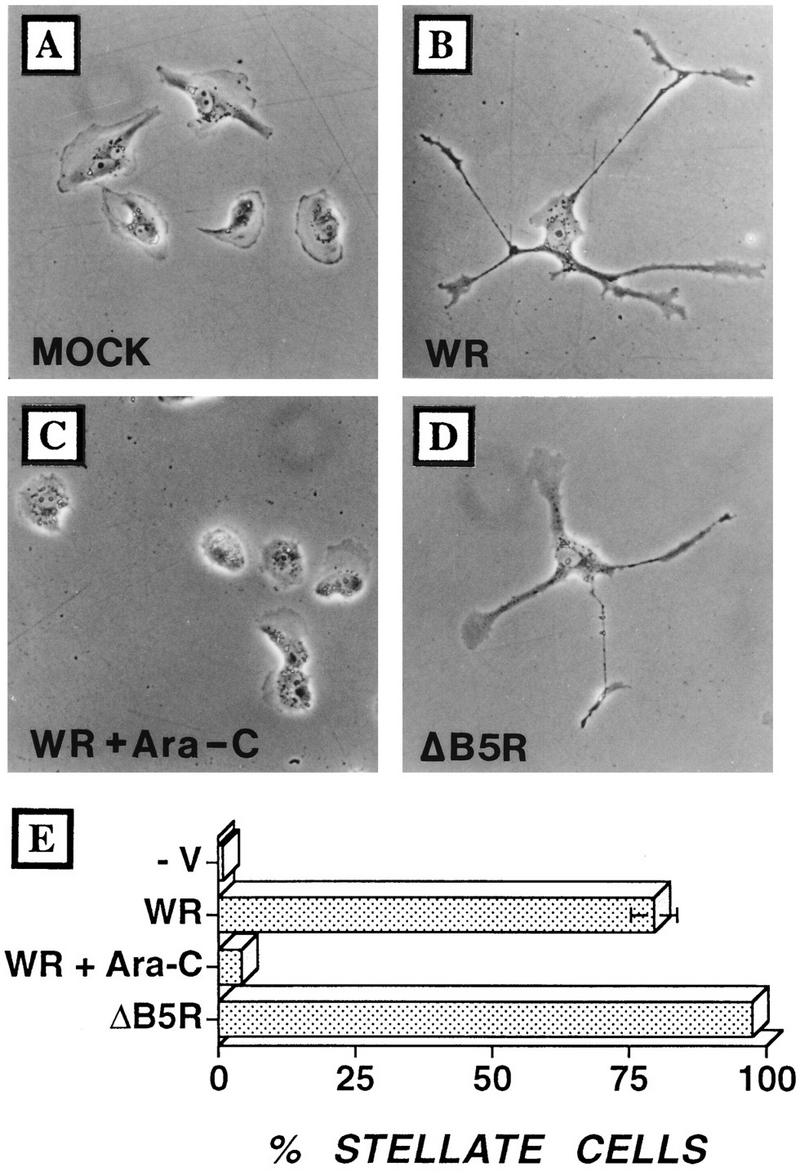 FIG. 5