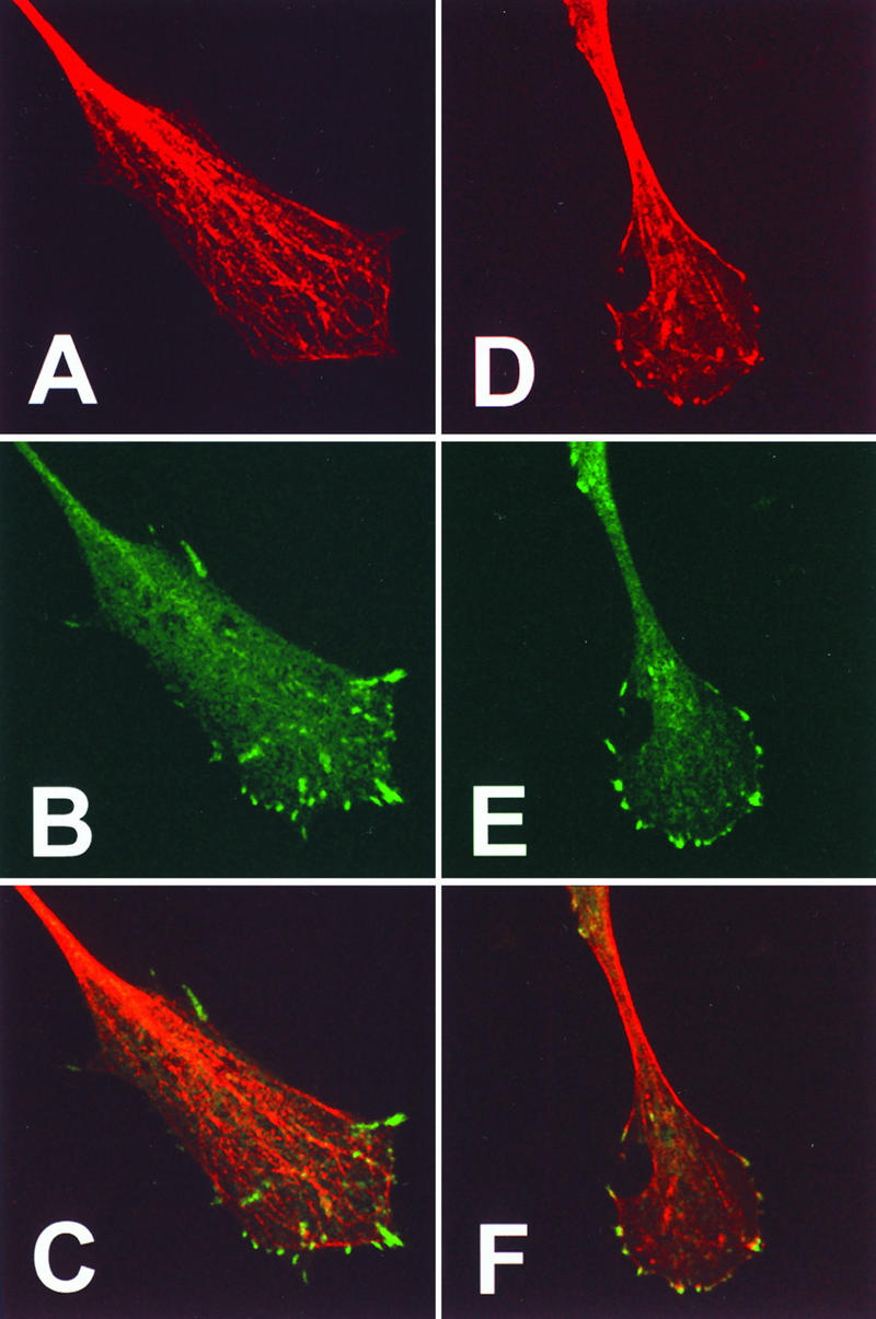 FIG. 8