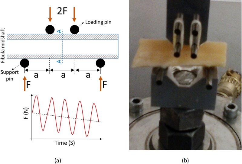 Figure 2: