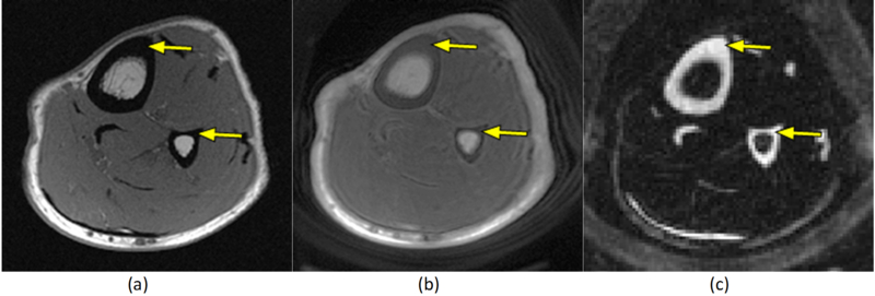 Figure 1: