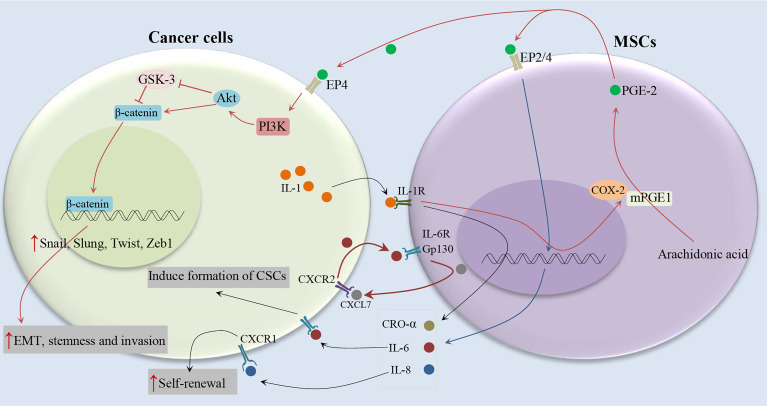 Figure 3