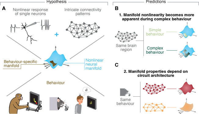 Figure 1: