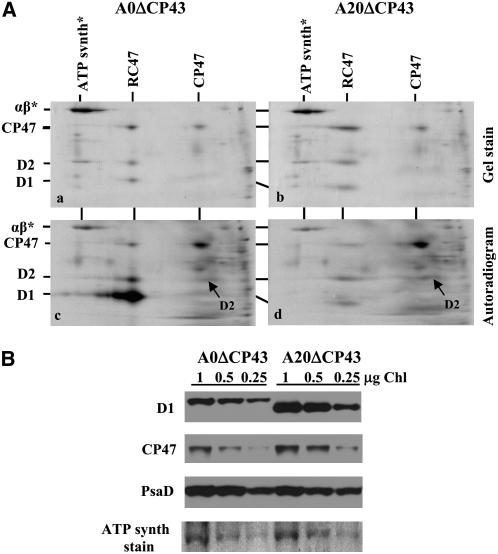 Figure 10.