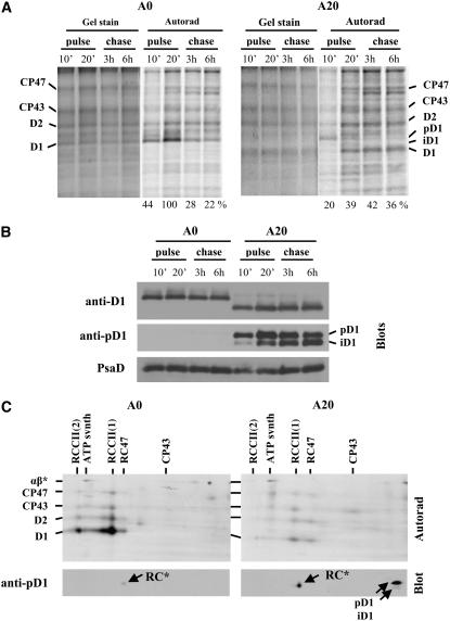 Figure 7.