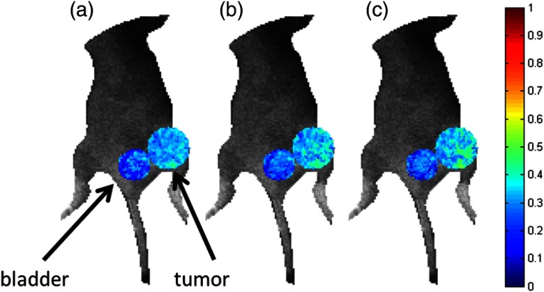 Fig. 7